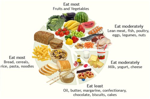 Dietitian Chart